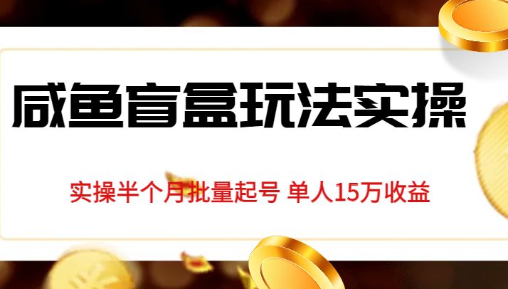 独家首发咸鱼盲盒玩法实操，半个月批量起号单人15万收益揭秘网赚项目-副业赚钱-互联网创业-资源整合南风学院