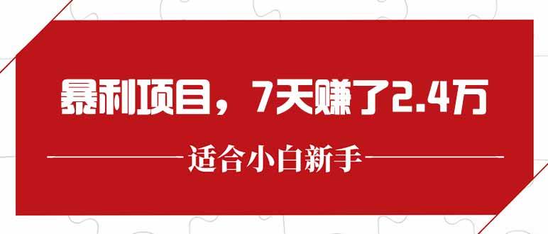 （15228期）最新暴利项目，每单收益轻松在300以上，7天赚了2.4万网赚项目-副业赚钱-互联网创业-资源整合南风学院
