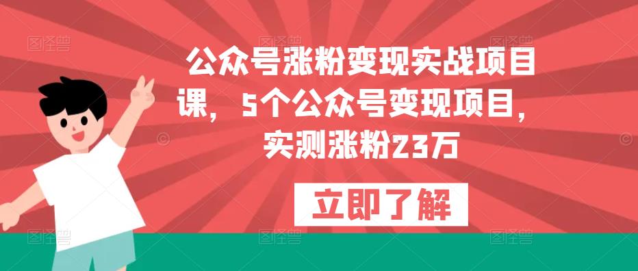 公众号涨粉变现实战项目课，5个公众号变现项目，实测涨粉23万网赚项目-副业赚钱-互联网创业-资源整合南风学院