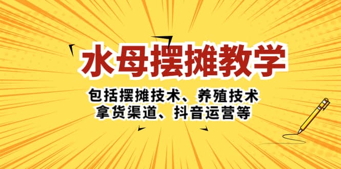 水母·摆摊教学，包括摆摊技术、养殖技术、拿货渠道、抖音运营等网赚项目-副业赚钱-互联网创业-资源整合南风学院