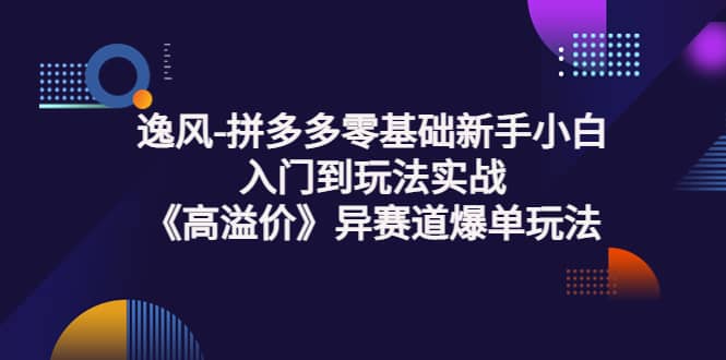 拼多多零基础新手小白入门到玩法实战《高溢价》异赛道爆单玩法实操课网赚项目-副业赚钱-互联网创业-资源整合南风学院