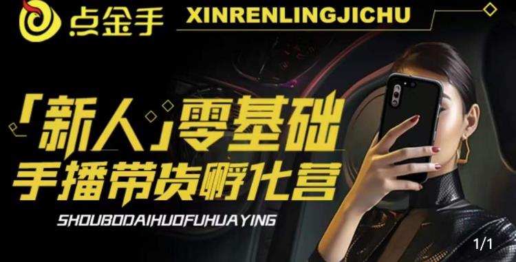2023点金手·新人零基础手播带货孵化营：账号运营篇+主播话术篇+数据流量篇等网赚项目-副业赚钱-互联网创业-资源整合南风学院