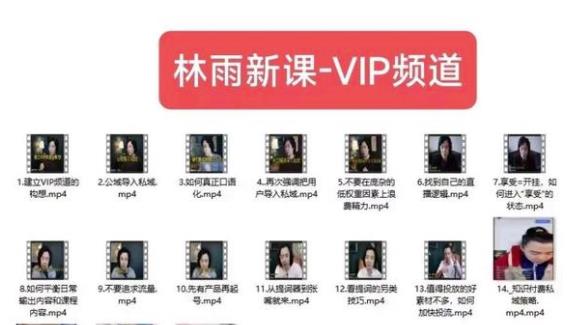 林雨新课VIP频道，玩赚私域/朋友圈/社群网赚项目-副业赚钱-互联网创业-资源整合南风学院