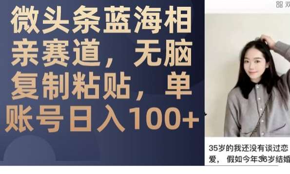 微头条蓝海相亲赛道，无脑复制粘贴，单账号日入100+网赚项目-副业赚钱-互联网创业-资源整合南风学院