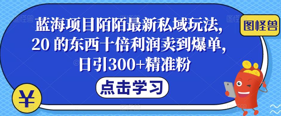 蓝海项目陌陌最新私域玩法，20 的东西十倍利润卖到爆单，日引300+精准粉【揭秘】网赚项目-副业赚钱-互联网创业-资源整合南风学院