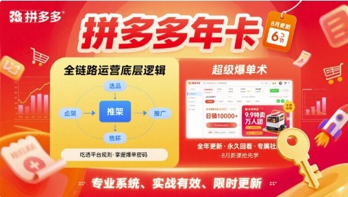 拼多多年卡【8月更新6节】拼多多全链路运营底层逻辑，超级爆单术网赚项目-副业赚钱-互联网创业-资源整合南风学院