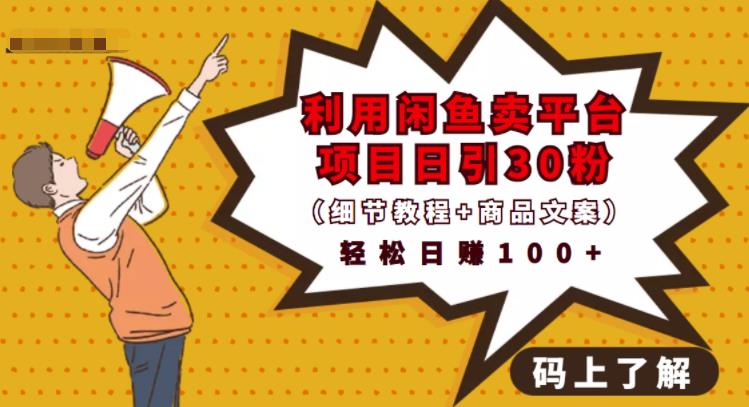 利用闲鱼卖平台项目课程资源日引流30+精准粉丝，轻松日赚100+，积累人脉可实现二次变现（细节教程+商品文案）网赚项目-副业赚钱-互联网创业-资源整合南风学院
