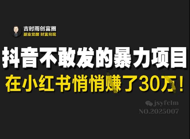 抖音不敢发的暴利项目，在小红书悄悄挣了30W网赚项目-副业赚钱-互联网创业-资源整合南风学院