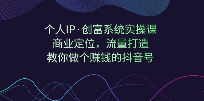 个人IP·创富系统实操课：商业定位，流量打造，教你做个赚钱的抖音号网赚项目-副业赚钱-互联网创业-资源整合南风学院