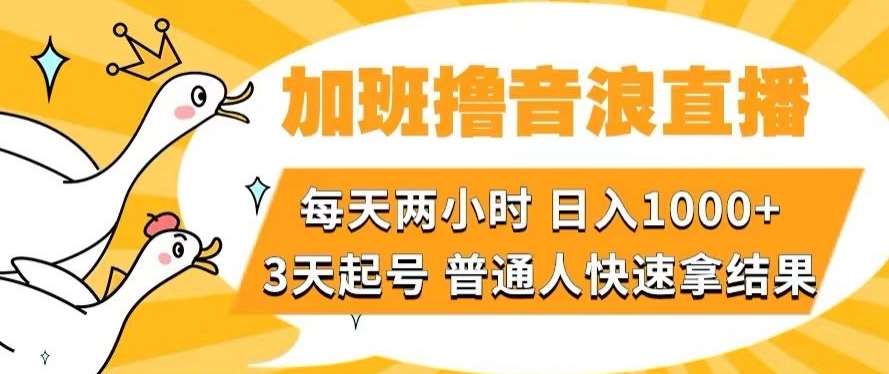 加班撸音浪直播，每天两小时，日入1000+，直播话术才3句，3天起号，普通人快速拿结果【揭秘】网赚项目-副业赚钱-互联网创业-资源整合南风学院