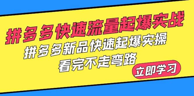 拼多多-快速流量起爆实战，拼多多新品快速起爆实操，看完不走弯路网赚项目-副业赚钱-互联网创业-资源整合南风学院