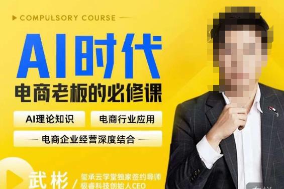 玺承·AI时代，电商老板的必修课，理论+实操+工具，驱动电商销售转化网赚项目-副业赚钱-互联网创业-资源整合南风学院
