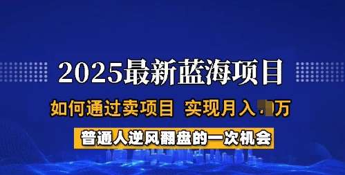 2025蓝海项目，普通人如何通过卖项目，实现月入过W，全过程【揭秘】网赚项目-副业赚钱-互联网创业-资源整合南风学院