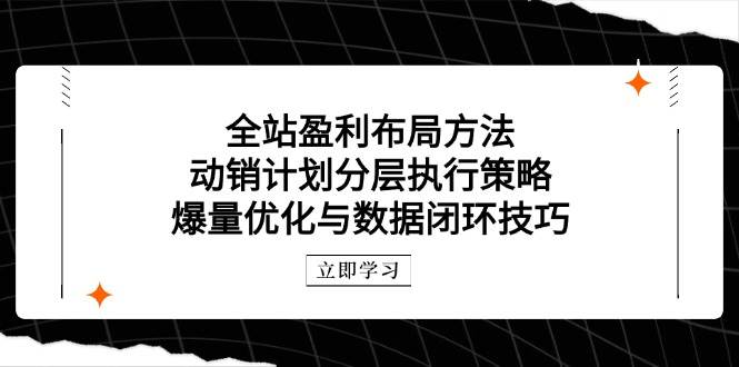 （14698期）全站盈利布局方法：动销计划分层执行策略，爆量优化与数据闭环技巧网赚项目-副业赚钱-互联网创业-资源整合南风学院