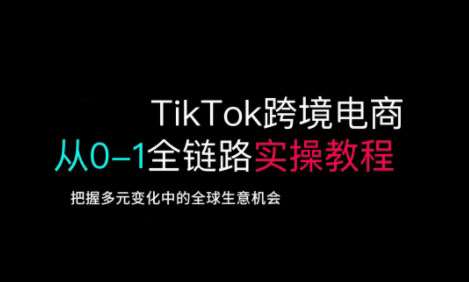 TikTok跨境电商从0-1全链路全方位实操教程，把握多元变化中的全球生意机会网赚项目-副业赚钱-互联网创业-资源整合南风学院