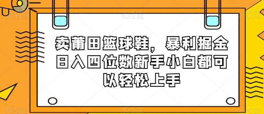 卖莆田篮球鞋，暴利掘金日入四位数新手小白都可以轻松上手【揭秘】网赚项目-副业赚钱-互联网创业-资源整合南风学院