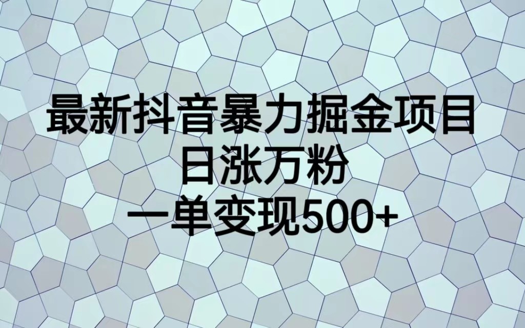 最新抖音暴力掘金项目，日涨万粉，一单变现500+网赚项目-副业赚钱-互联网创业-资源整合南风学院