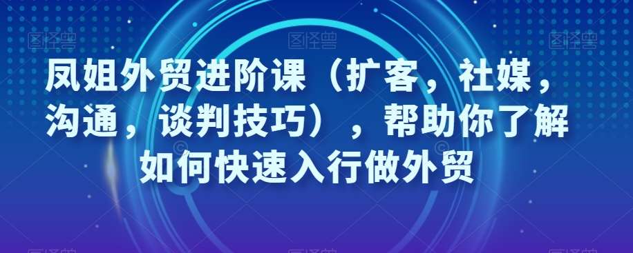 凤姐外贸进阶课（扩客，社媒，沟通，谈判技巧），帮助你了解如何快速入行做外贸网赚项目-副业赚钱-互联网创业-资源整合南风学院