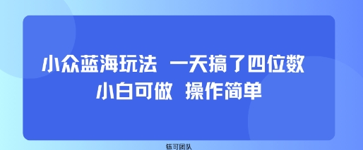 小众蓝海玩法 一天搞了四位数 小白可做 操作简单网赚项目-副业赚钱-互联网创业-资源整合南风学院