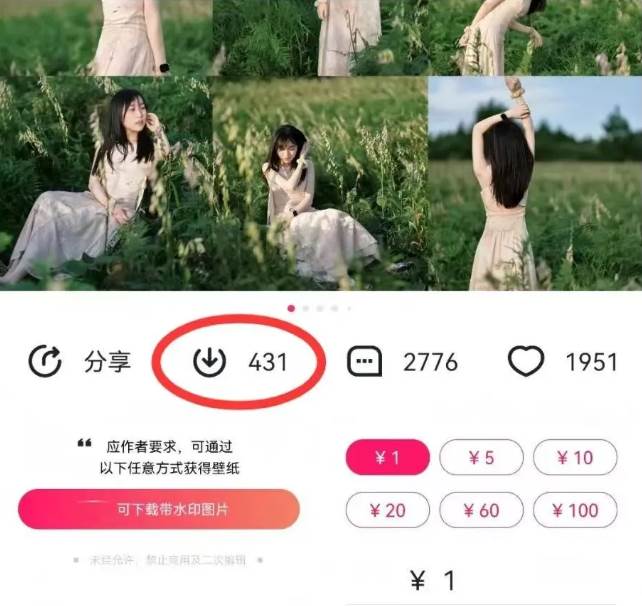 图片[2]-最新图虫搬运项目，收益无上限，利用AI小白也可日赚500+-讯领网创