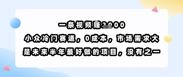 一条视频挣1k，小众冷门赛道，0成本，市场需求大，是未来半年最好做的项目，没有之一网赚项目-副业赚钱-互联网创业-资源整合南风学院