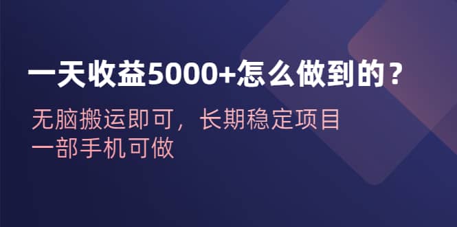 一天收益5000+怎么做到的？无脑搬运即可，长期稳定项目，一部手机可做网赚项目-副业赚钱-互联网创业-资源整合南风学院