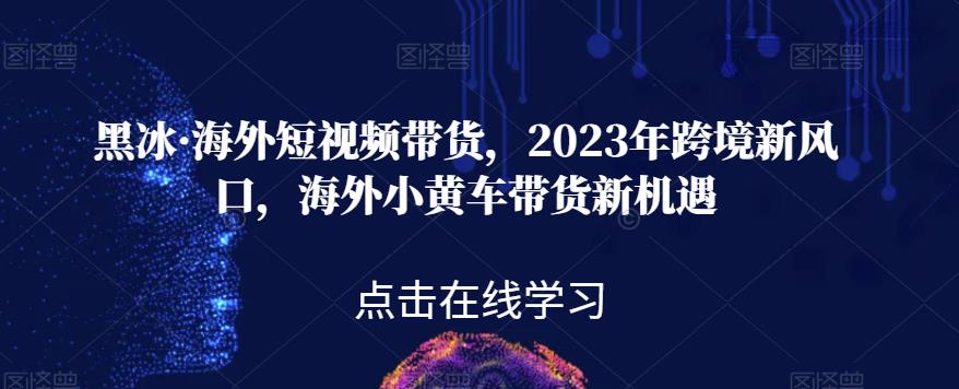 黑冰·海外短视频带货，2023年跨境新风口，海外小黄车带货新机遇网赚项目-副业赚钱-互联网创业-资源整合南风学院