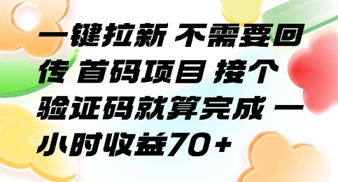 一键拉新 不需要回传 首码项目 接个验证码就算完成 一小时收益70+【揭秘】网赚项目-副业赚钱-互联网创业-资源整合南风学院