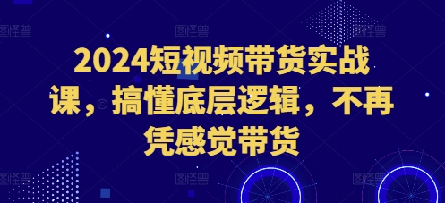 2024短视频带货实战课，搞懂底层逻辑，不再凭感觉带货网赚项目-副业赚钱-互联网创业-资源整合南风学院