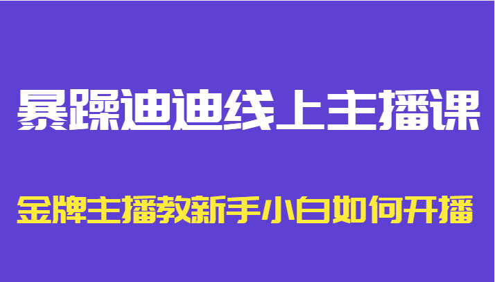 暴躁迪迪线上主播课，金牌主播教新手小白如何开播网赚项目-副业赚钱-互联网创业-资源整合南风学院