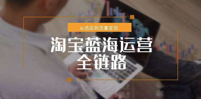 （15160期）淘宝蓝海运营全链路，从选品到流量变现，小类目突围完整方案网赚项目-副业赚钱-互联网创业-资源整合南风学院