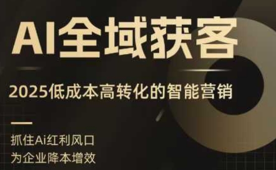 AI全域获客实训营，2025低成本高转化的智能营销，精准找客，高效营销网赚项目-副业赚钱-互联网创业-资源整合南风学院