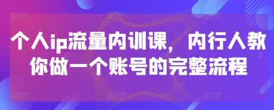 个人ip流量内训课，内行人教你做一个账号的完整流程网赚项目-副业赚钱-互联网创业-资源整合南风学院