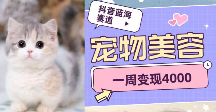 抖音蓝海赛道，宠物美容，一周变现4000网赚项目-副业赚钱-互联网创业-资源整合南风学院