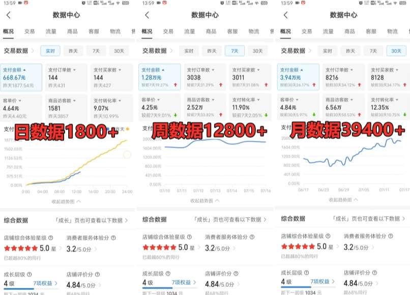 图片[2]-拼多多虚拟电商训练营月入30000+你也行，暴利稳定长久，副业首选-讯领网创