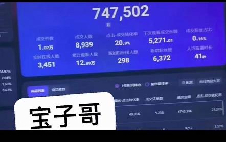 宝子哥无人直播，半无人直播，Obs+伴侣玩法，快速打标签+养鱼网赚项目-副业赚钱-互联网创业-资源整合南风学院