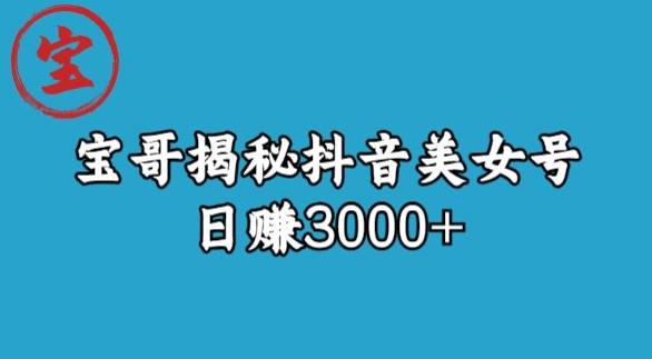 宝哥揭秘抖音美女号玩法，日赚3000+【揭秘】网赚项目-副业赚钱-互联网创业-资源整合南风学院