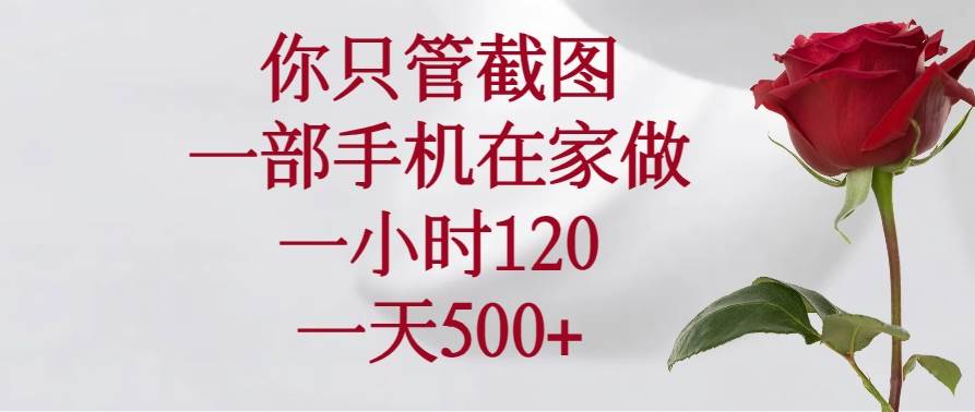 （14248期）你只管截图，一部手机在家做，一小时120，一天500+网赚项目-副业赚钱-互联网创业-资源整合南风学院