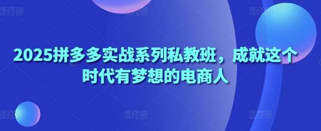 2025拼多多实战系列私教班，成就这个时代有梦想的电商人网赚项目-副业赚钱-互联网创业-资源整合南风学院