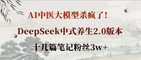 AI中医大模型杀疯了！DeepSeek中式养生2.0版本，十几篇笔记粉丝3w+网赚项目-副业赚钱-互联网创业-资源整合南风学院