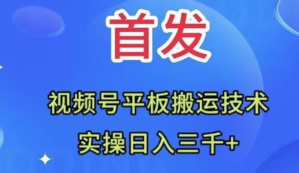 （7843期）全网首发：视频号平板搬运技术，实操日入三千＋网赚项目-副业赚钱-互联网创业-资源整合南风学院