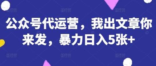 公众号代运营，我出文章你来发，暴力日入5张+【揭秘】网赚项目-副业赚钱-互联网创业-资源整合南风学院
