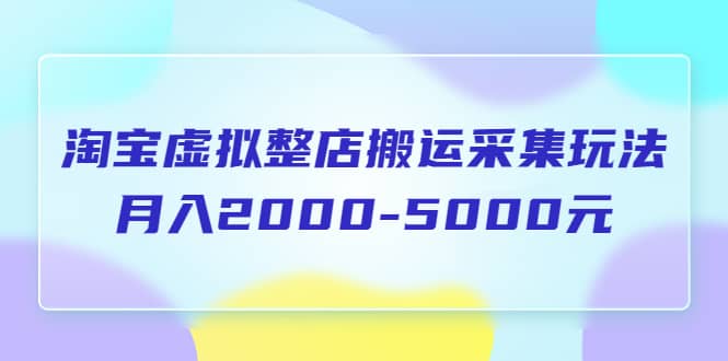 淘宝虚拟整店搬运采集玩法分享课：月入2000-5000元（5节课）网赚项目-副业赚钱-互联网创业-资源整合南风学院