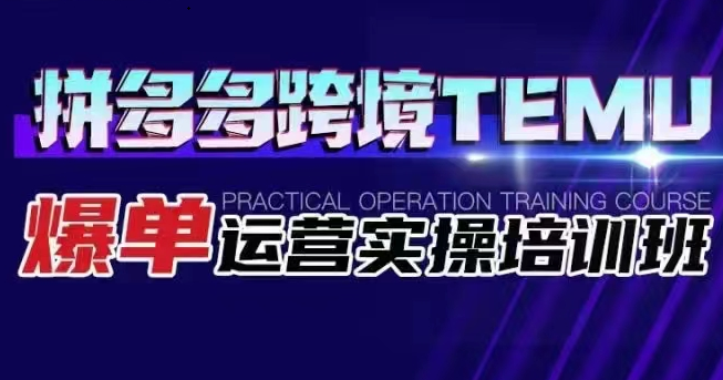 拼多多跨境TEMU爆单运营实操培训班 海外拼多多的选品、运营、爆单网赚项目-副业赚钱-互联网创业-资源整合南风学院