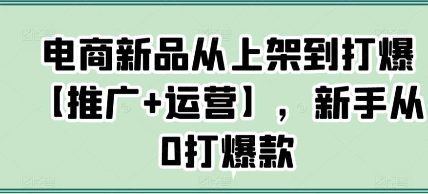 电商新品从上架到打爆【推广+运营】，新手从0打爆款网赚项目-副业赚钱-互联网创业-资源整合南风学院