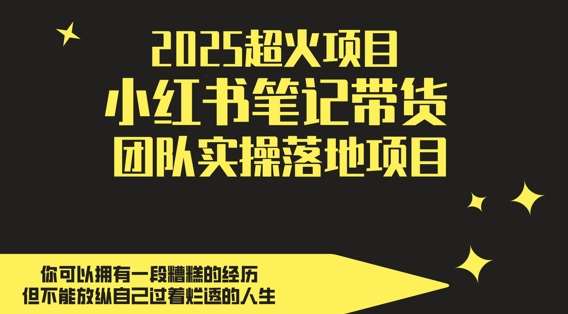 2025超火项目，副业最佳选择，小红书笔记带货团队实操落地项目，，轻松日入5张网赚项目-副业赚钱-互联网创业-资源整合南风学院