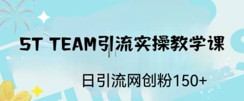 ST TEAM引流实操课，日引流网创粉100+网赚项目-副业赚钱-互联网创业-资源整合南风学院