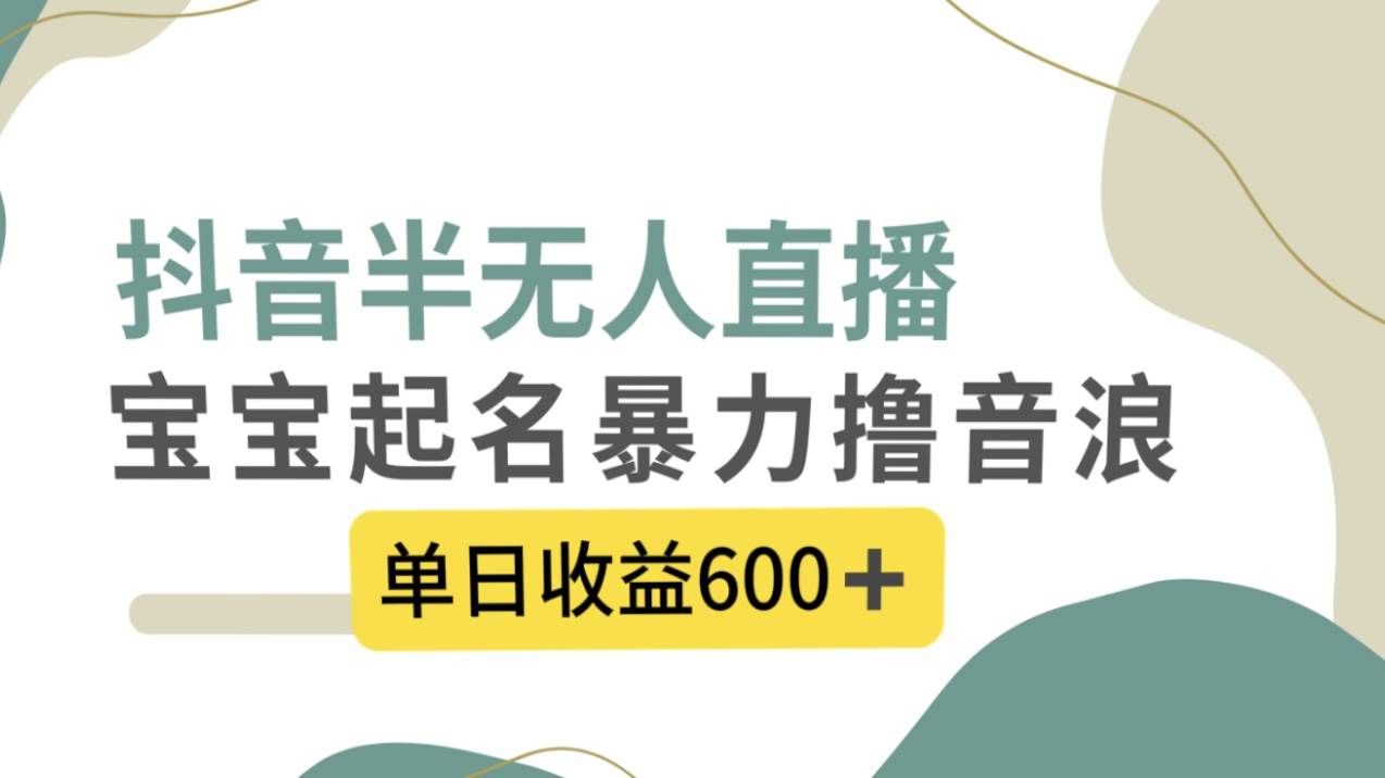（8192期）抖音半无人直播，宝宝起名，暴力撸音浪，单日收益600+网赚项目-副业赚钱-互联网创业-资源整合南风学院