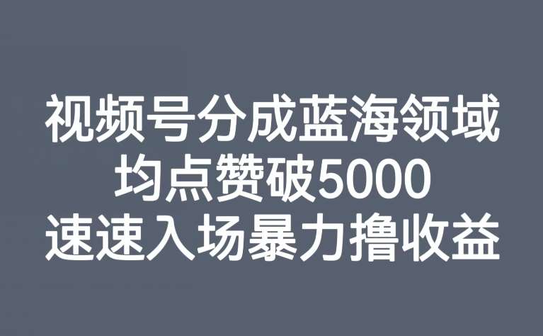 视频号分成蓝海领域，均点赞破5000，速速入场暴力撸收益网赚项目-副业赚钱-互联网创业-资源整合南风学院