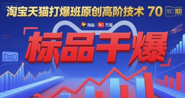 淘宝天猫打爆班原创高阶技术第70期：标品干爆网赚项目-副业赚钱-互联网创业-资源整合南风学院